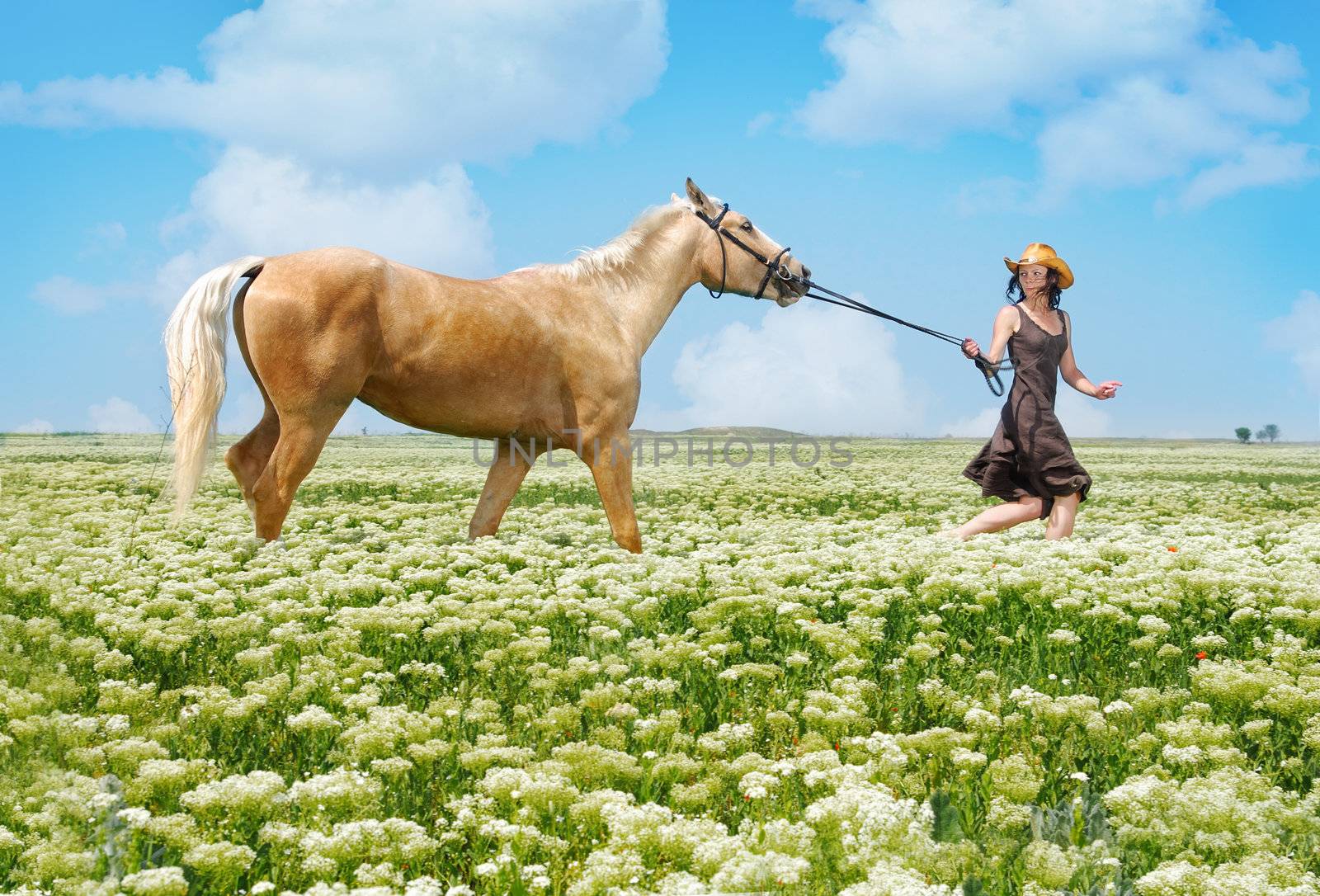 Photo of the running horsewoman and horse in summer field