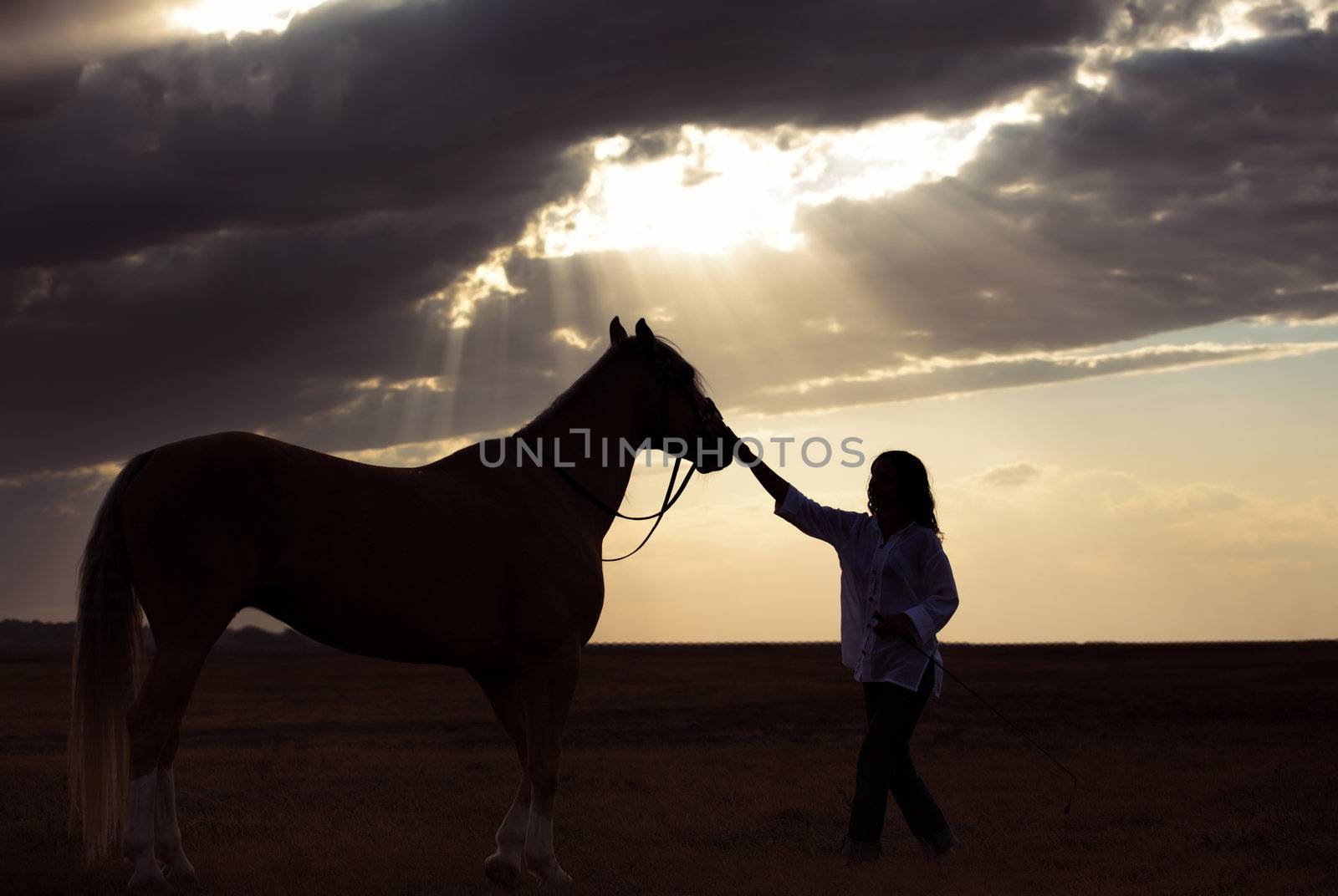 Silhouette of the woman and horse training during sunset