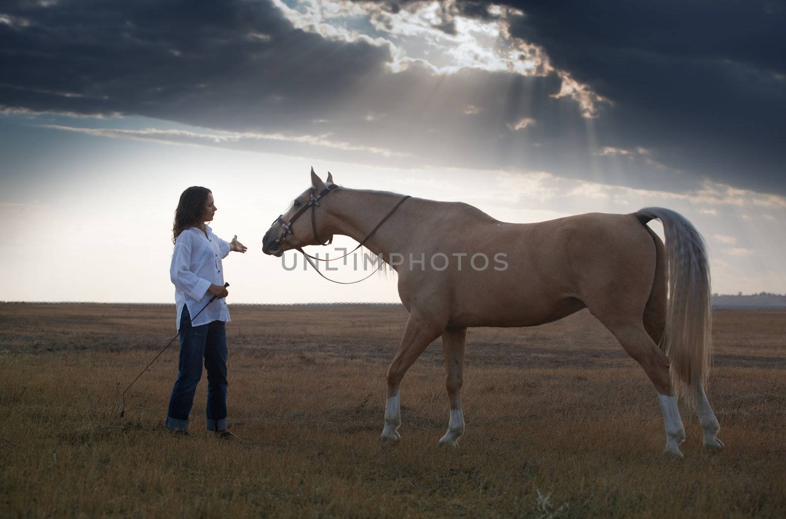 Woman training horse in the steppe during sunset