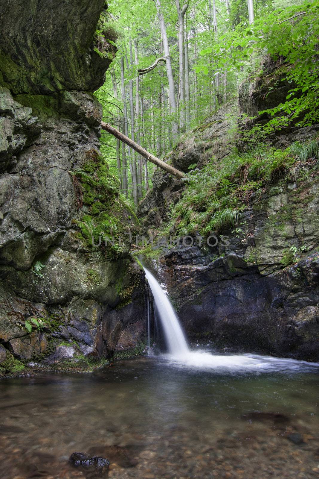 Shot of the Nyznerov waterfalls - Siver brook, Czech republic.
Silver Creek Falls, also Nyznerov waterfalls lies in the village of Upper Skorosice to 12 hectares. It is a canyon gorge with rocky thresholds can generate several waterfalls and cascades. Waterfalls are located 2 km southwest of village Nyznerov and 5 km west of Zulova city.
Waterfalls are made up of cascades and rapids in the romantic gorge Bucina brook above the mouth of the creek, with a total height of 14 meters. The highest grades are 3 meters high. 