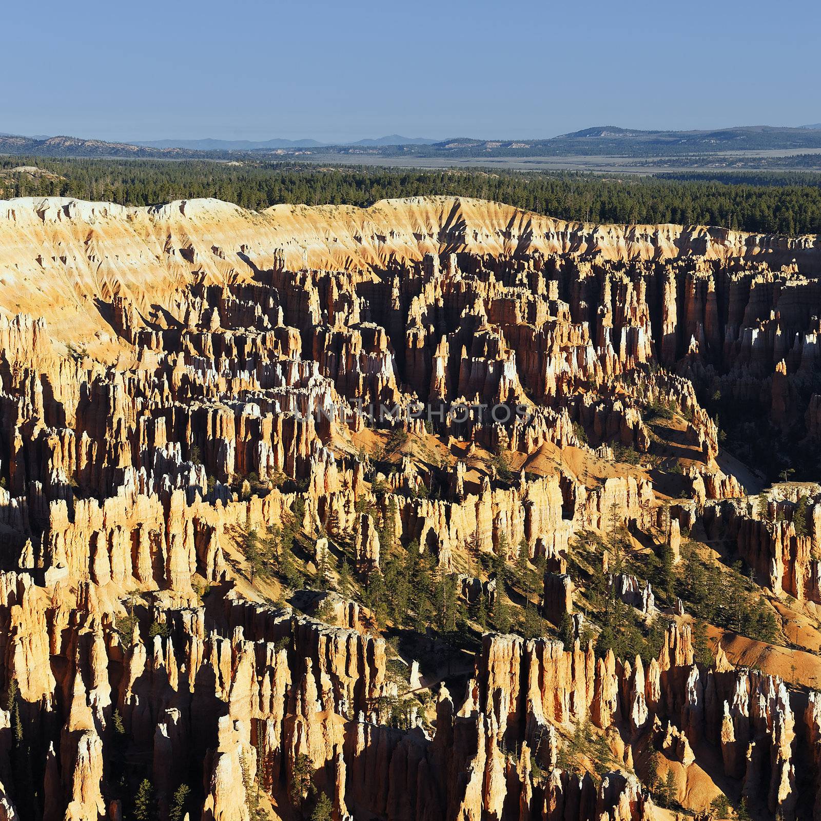 famous amphitheater from Inspiration Point at sunrise, Bryce Canyon National Park, Utah, USA 