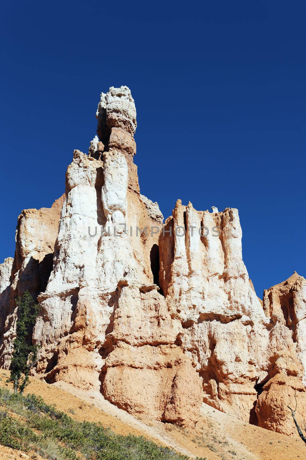 Famous hoodoo rocks at Bryce Canyon, Utah, USA 