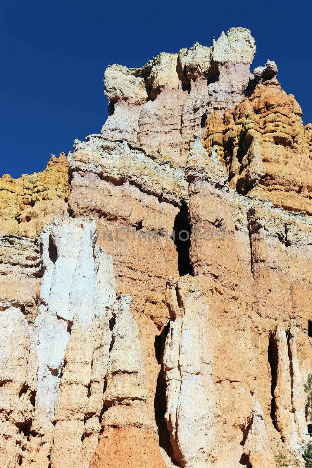 vertical view of famous hoodoo rocks of Bryce Canyon, Utah, USA 