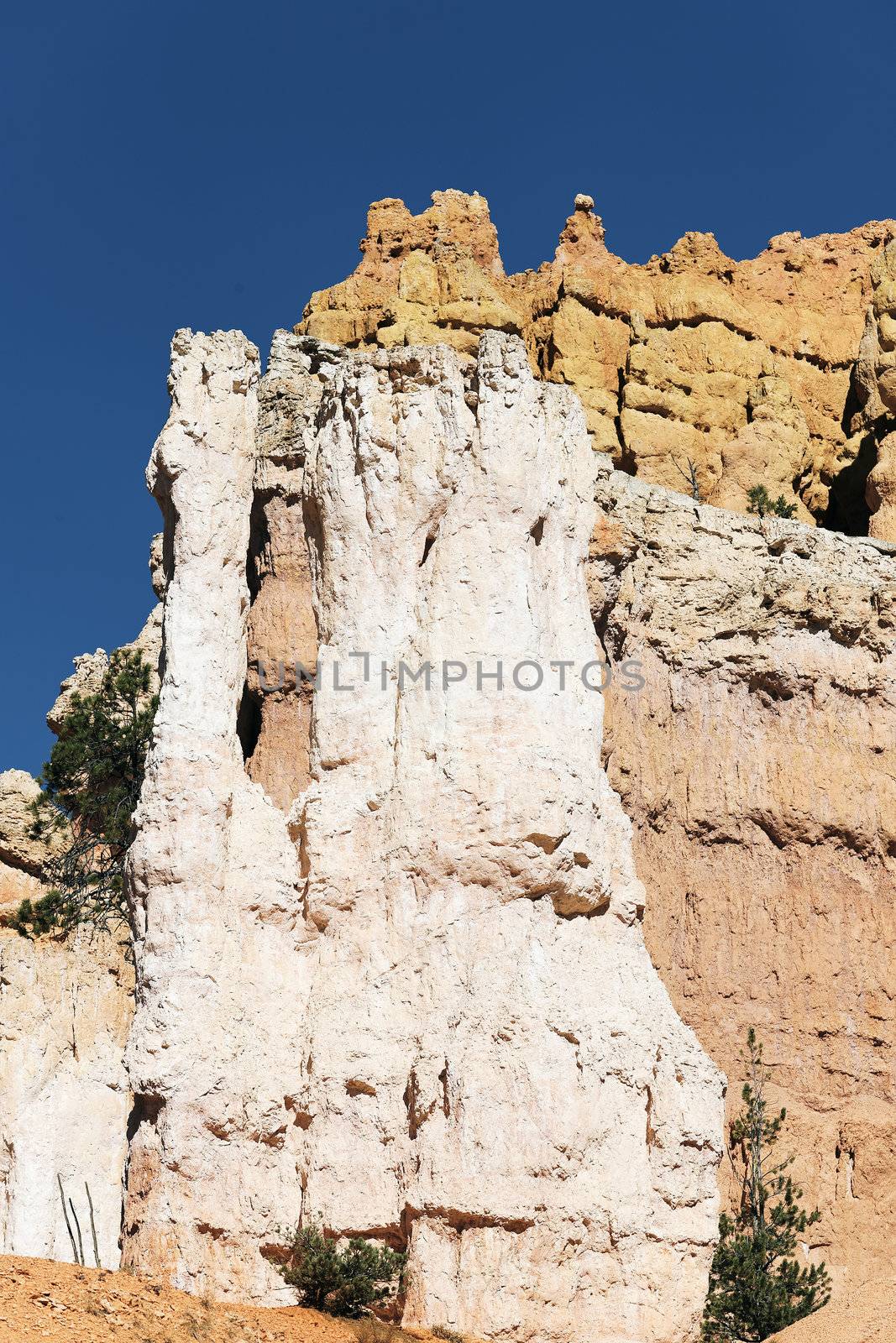 Famous hoodoo rocks of Bryce Canyon, Utah, USA 