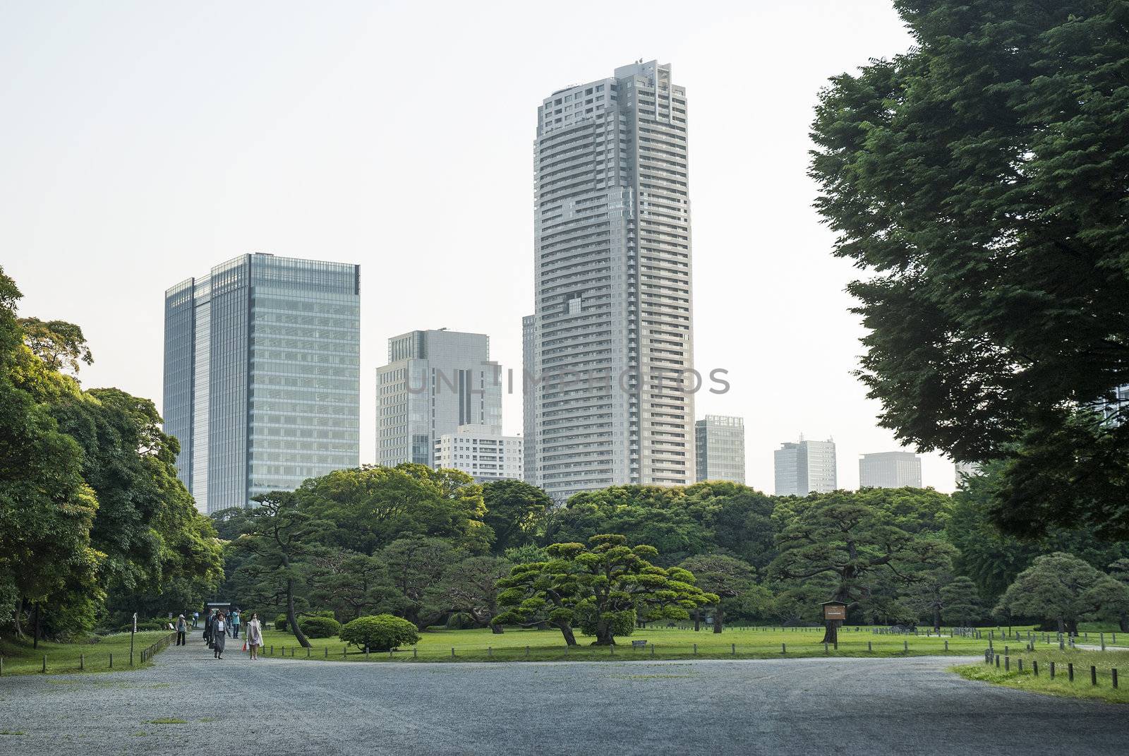 park in ginza tokyo japan by jackmalipan