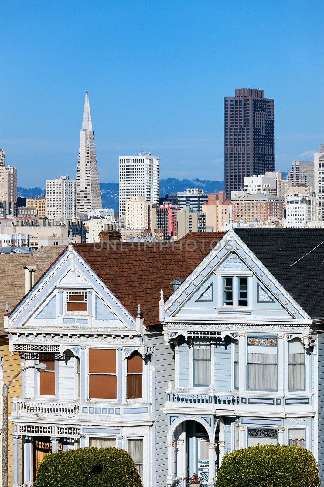 view of San Francisco from Alamo Square, San Francisco, USA