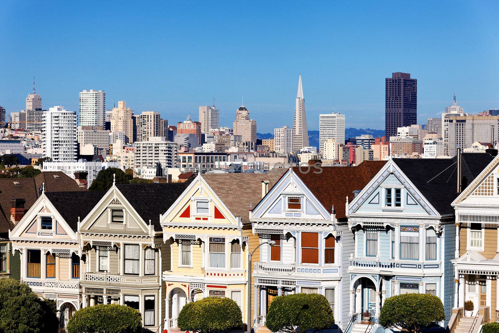 view from Alamo Square, San Francisco, USA