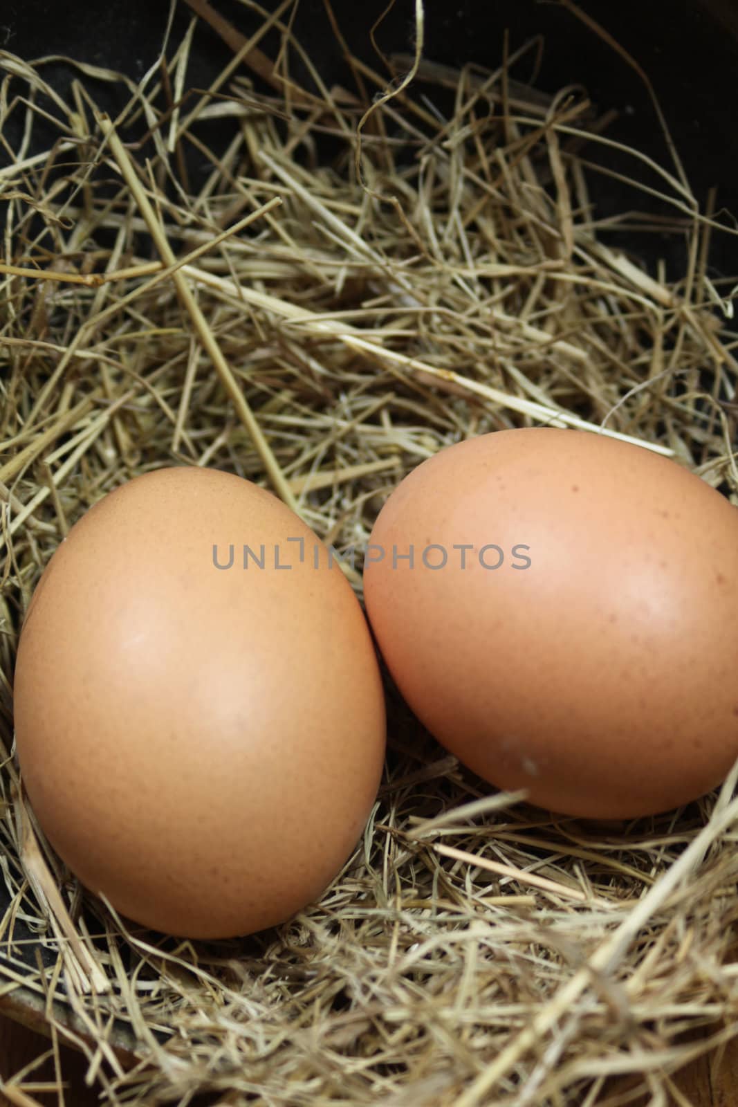 Two fresh brown eggs in a nest of straw on a wooden block base. Set on a portrait format with copy-space available.