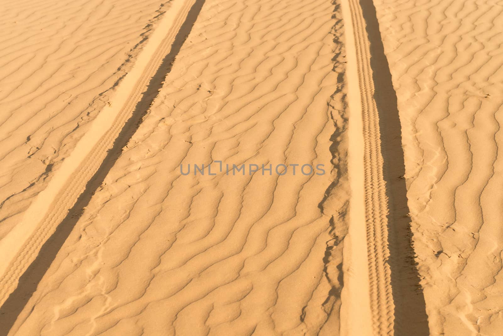 Of- road car track on gold sand dunes in desert at sunset.