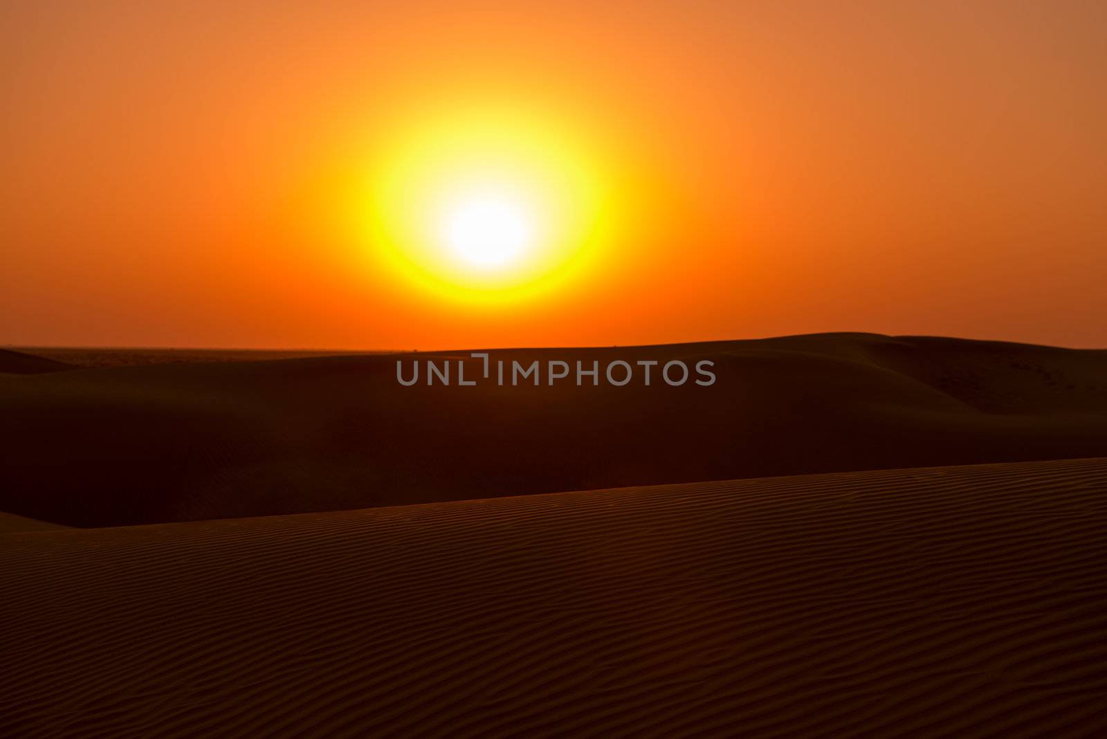 Sunset in desert by iryna_rasko