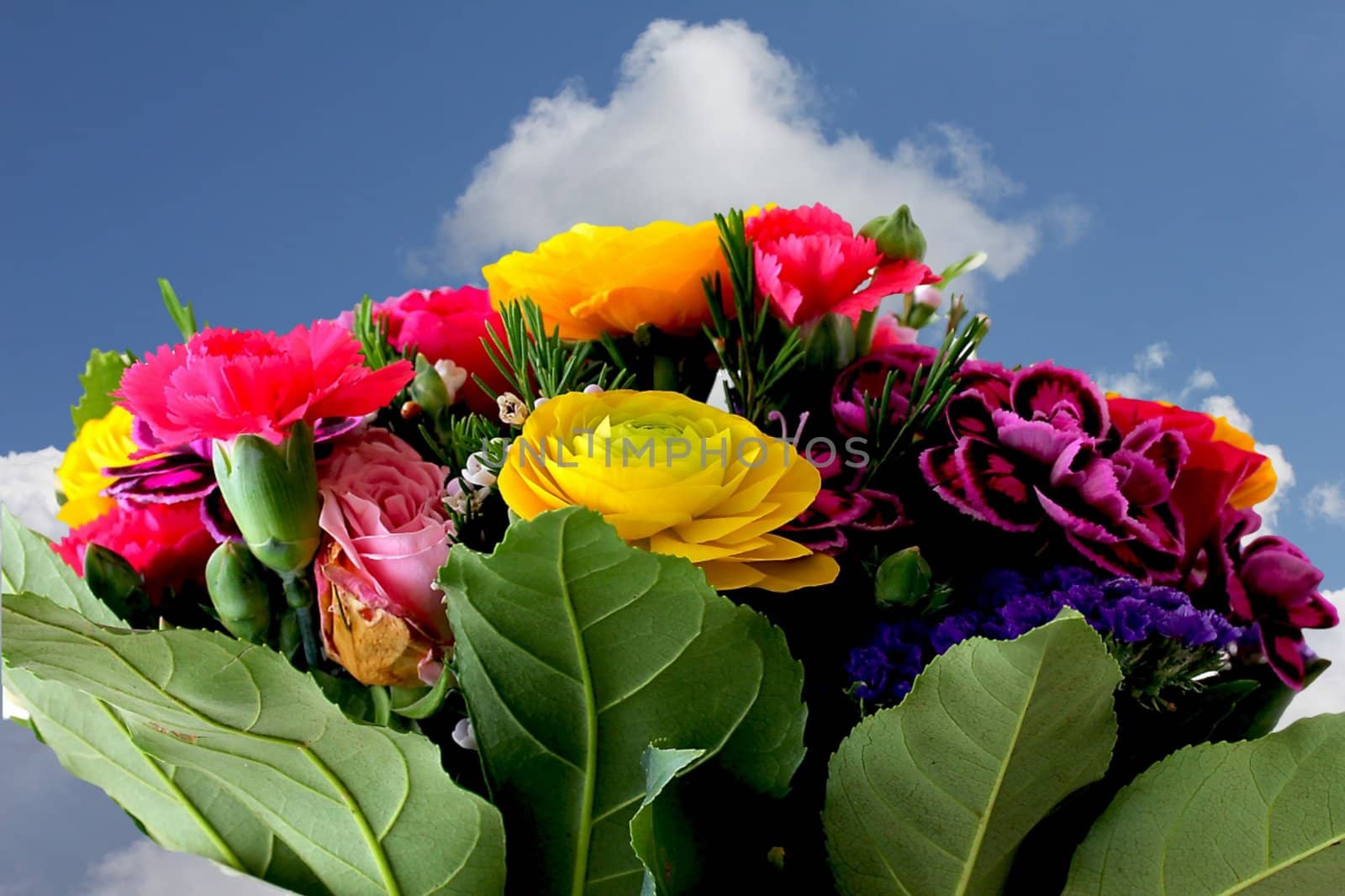 Bouquet of various flowers  on blue sky background