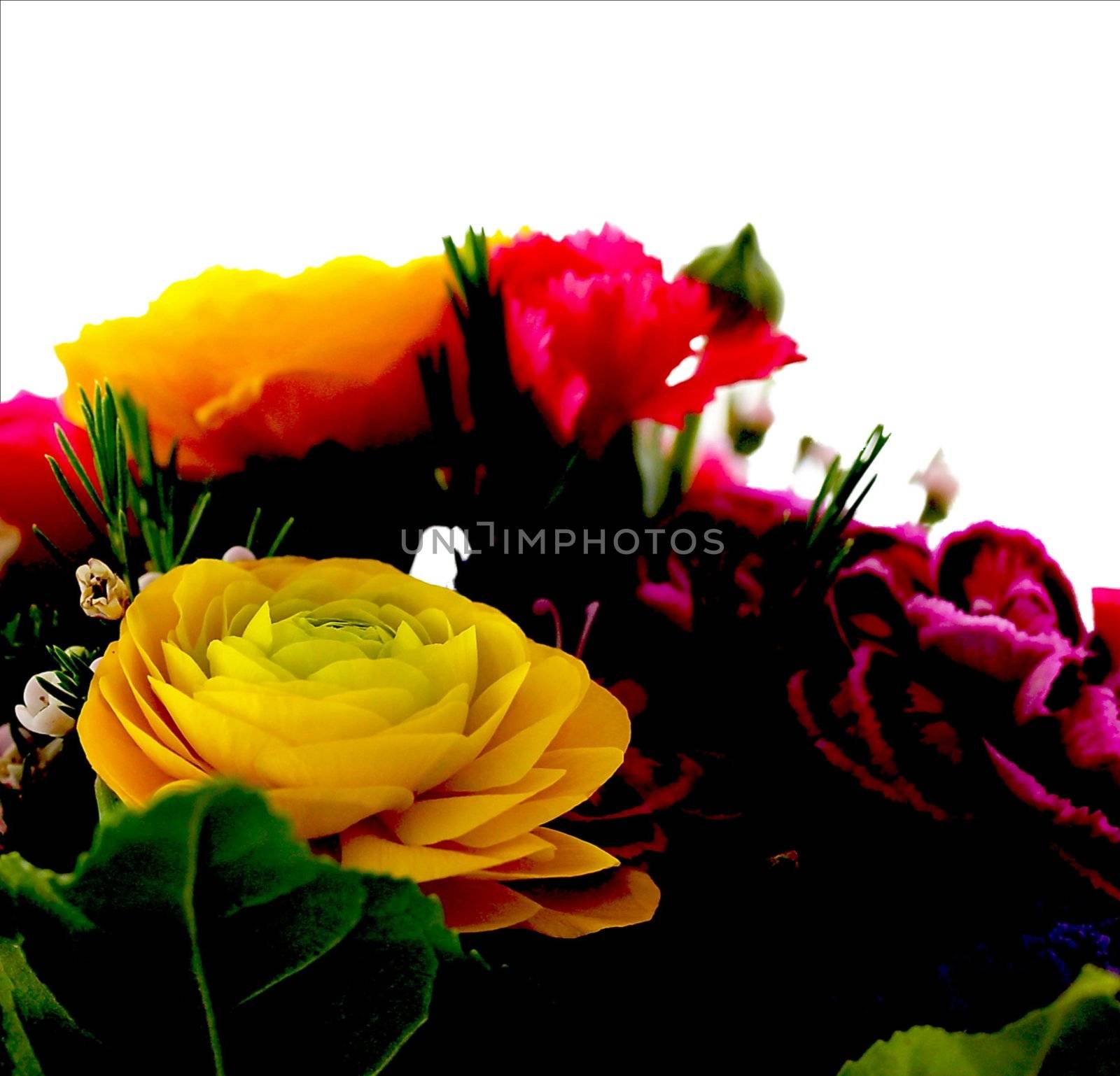 Bouquet of various flowers  isolated on white background