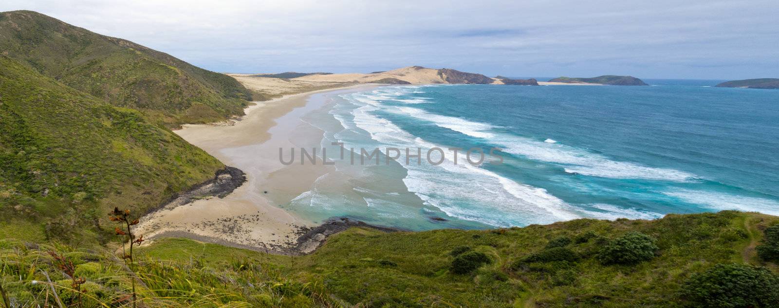 Deserted sand beach coast at Tasman Sea between Cape Reinga and Cape Maria van Diemen at northern tip of North Island of New Zealand