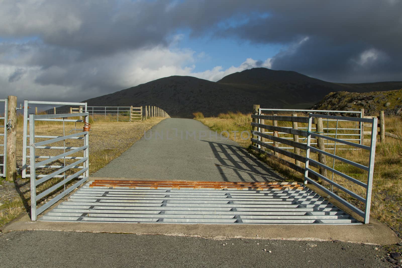 Cattle grid. by richsouthwales