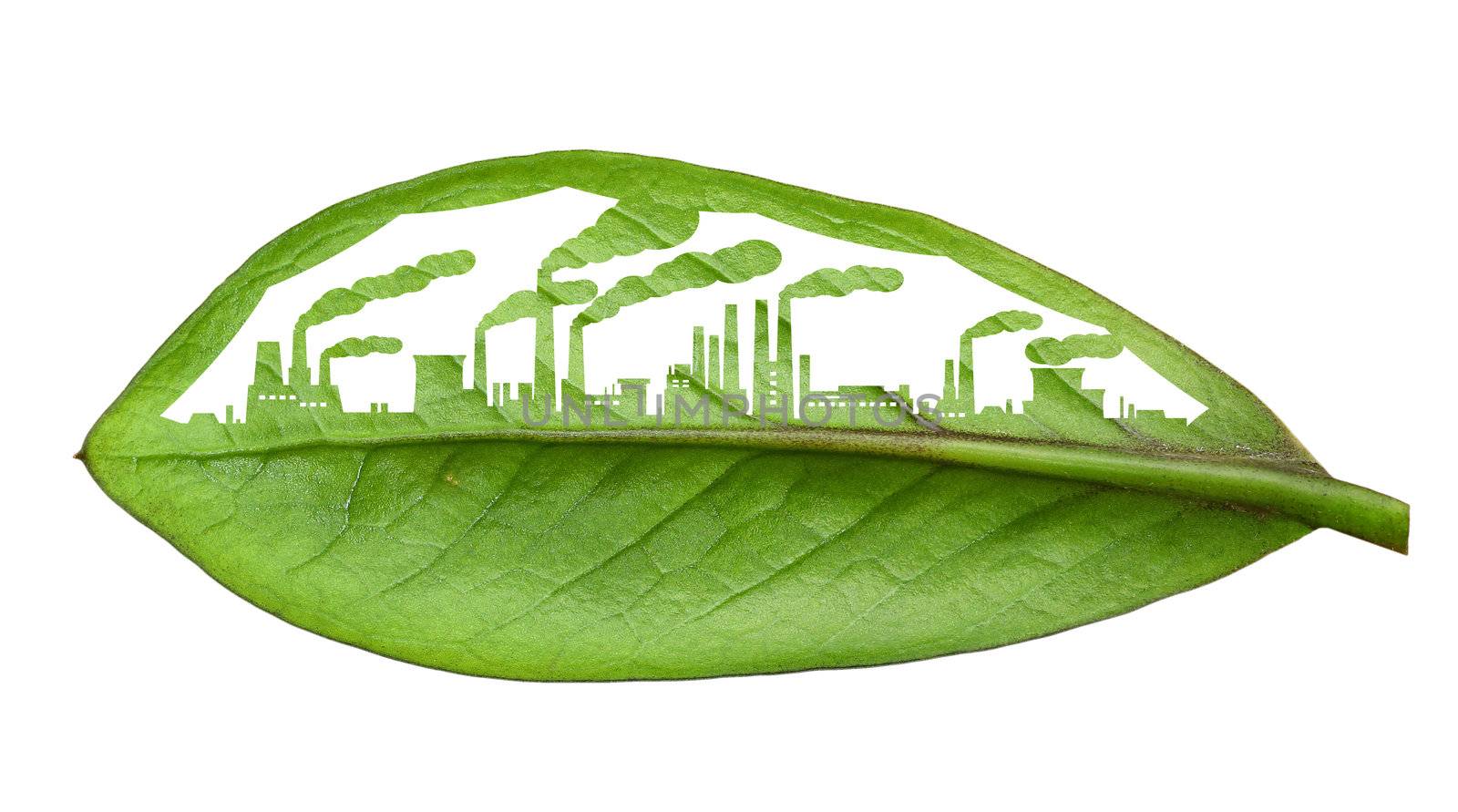 industrial city, cut the leaves of plants, isolated over white
