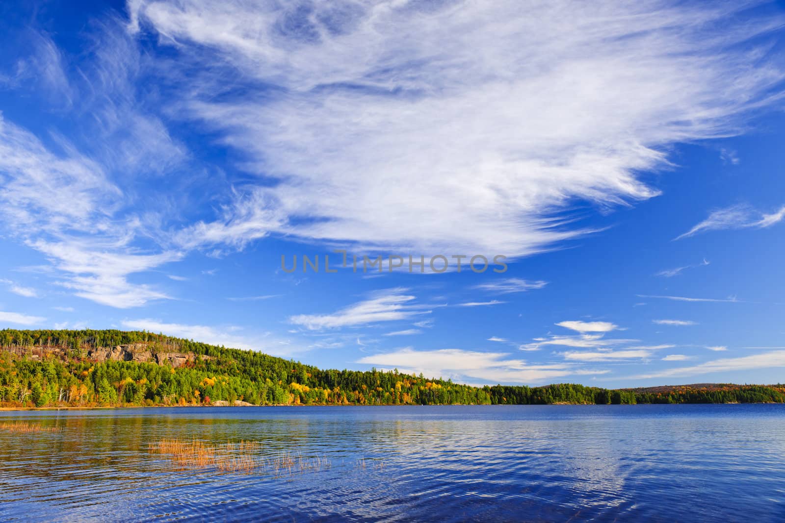 Autumn forest and lake with dramatic sky in Algonquin Park, Canada