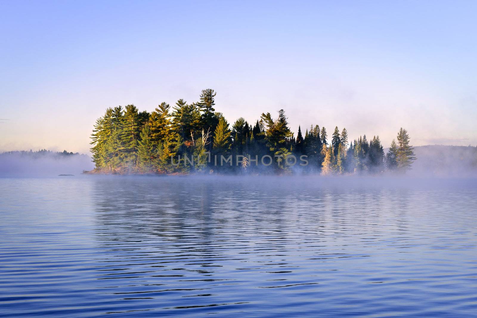 Island with pine trees in morning fog on lake at sunrise