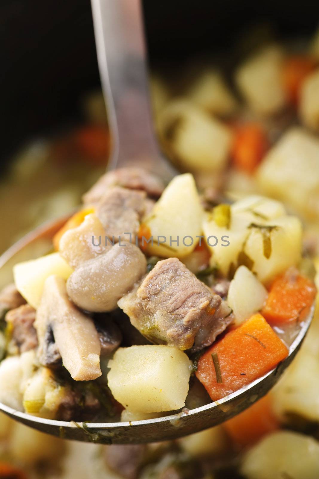 Beef stew in serving spoon by elenathewise