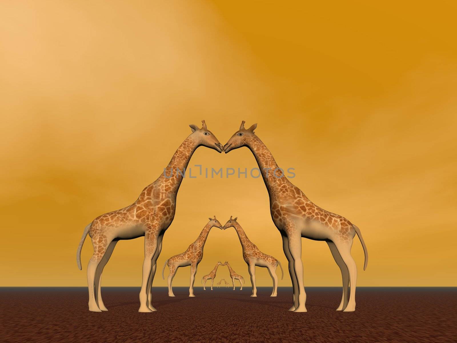 Several giraffe couples in brown background