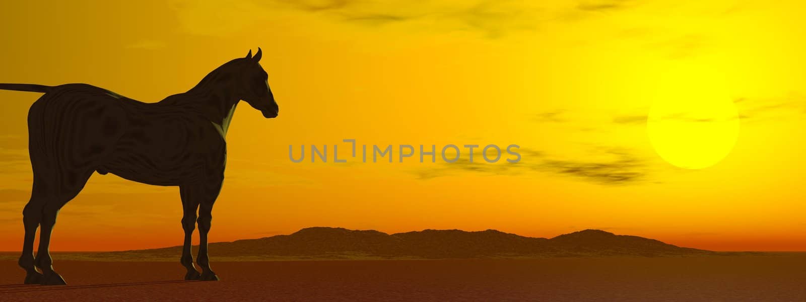Calm horse standing in the desert while contemplating sunset upon the hills