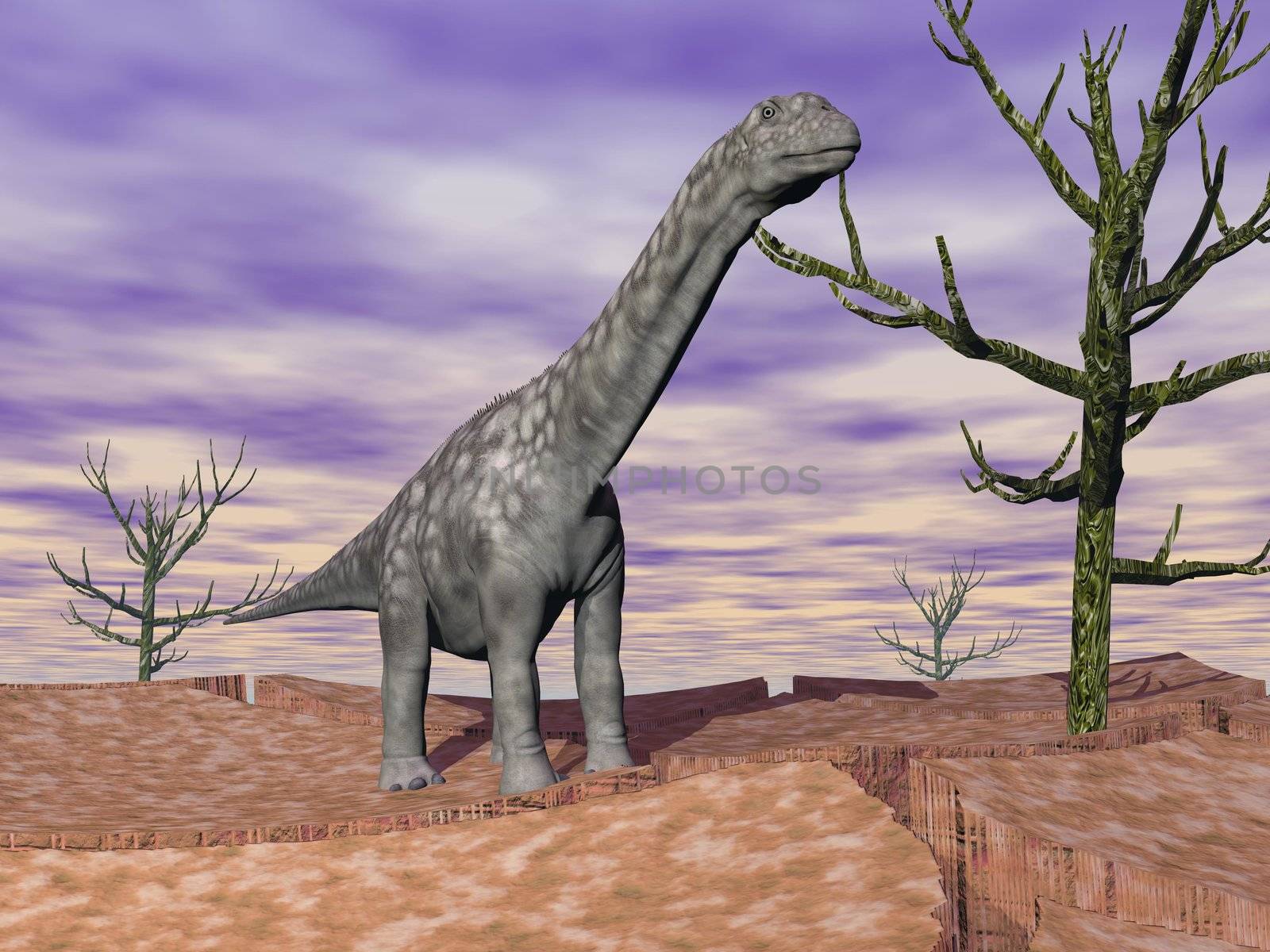 Argentinosaurus dinosaur standing on the cracked desert ground next to dead trees by cloudy weather