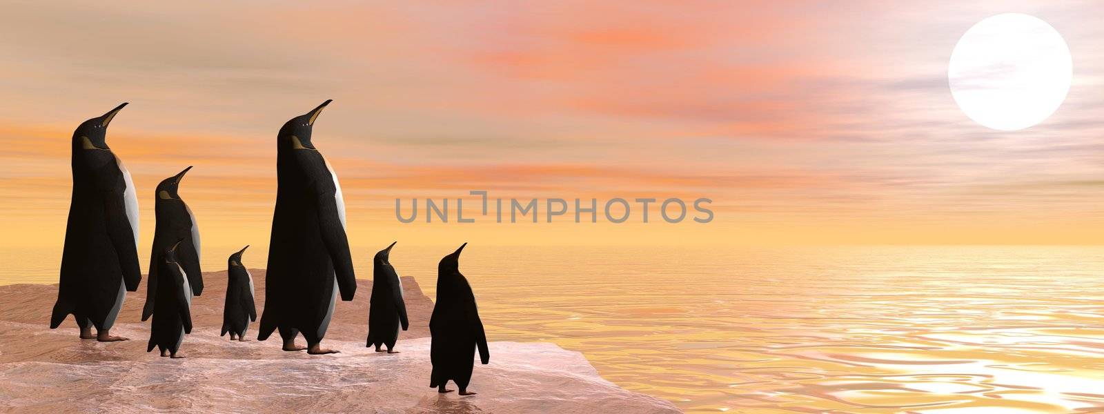 Penguin family sharing the beauty of sunset upon the ocean