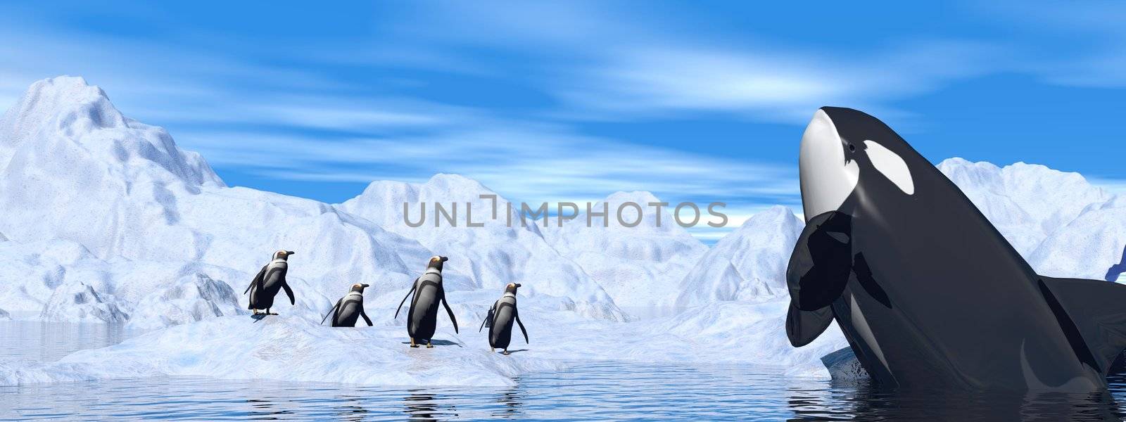Penguins and orca meeting among icebergs by cloudy day