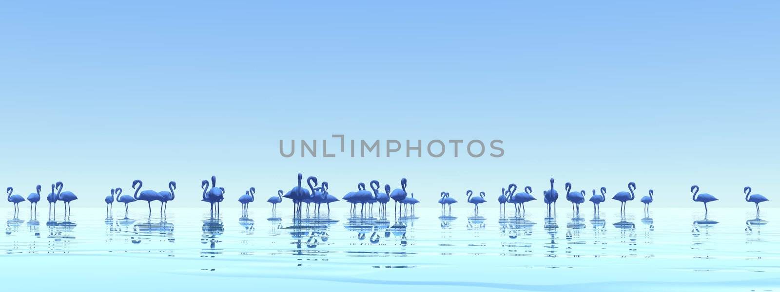 Flock of flamingos standing peacefully in the water by foggy sunset