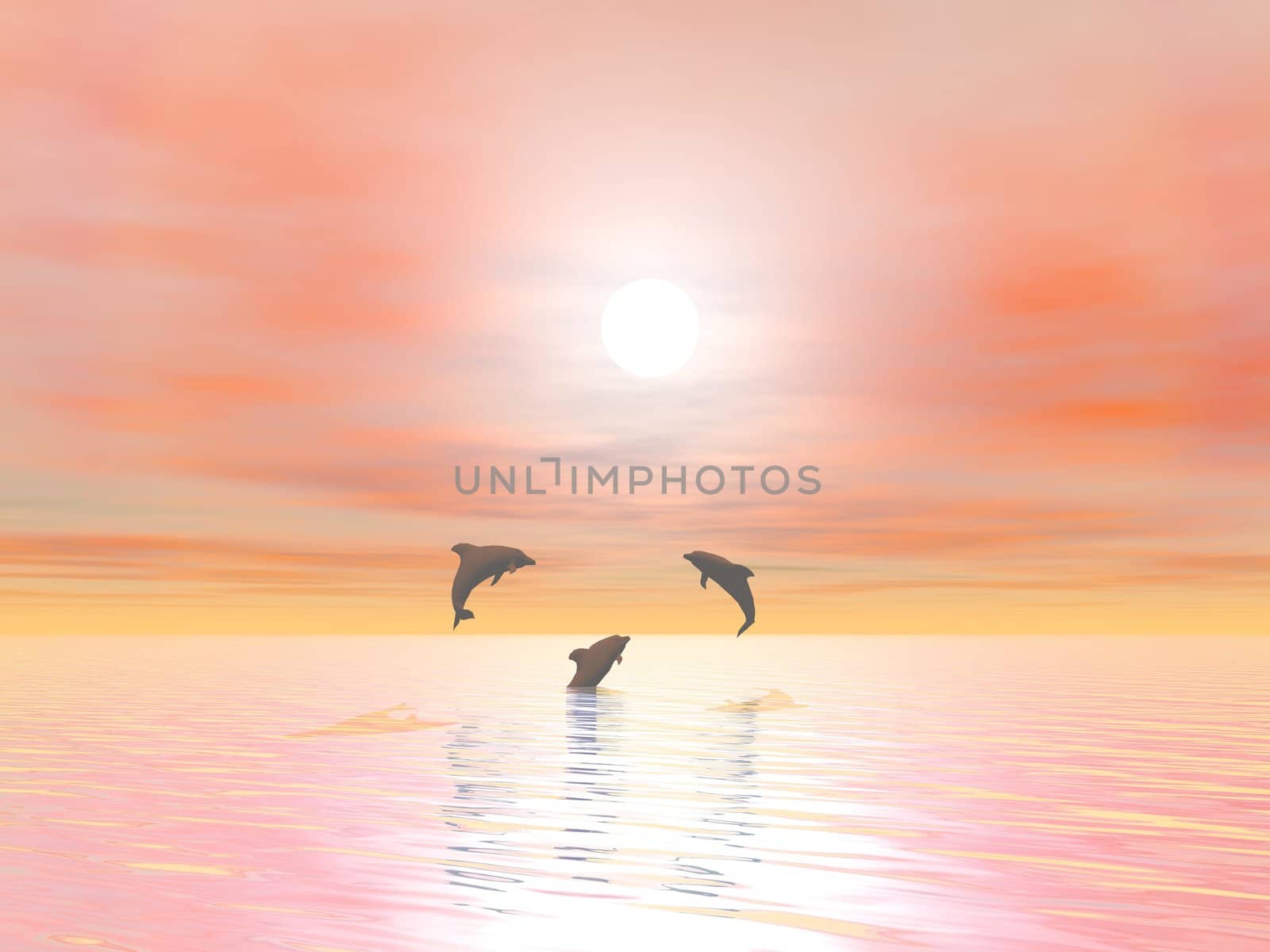 Shadow of three small dolphins jumping over the ocean by sunset