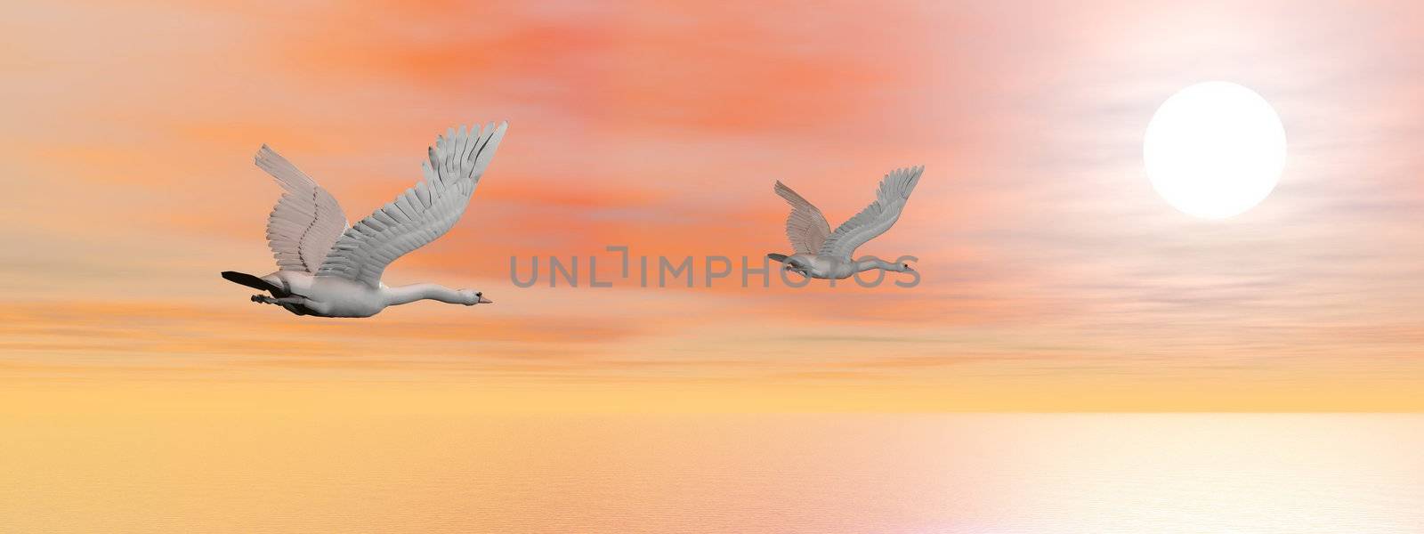 Swans migration - 3D render by Elenaphotos21