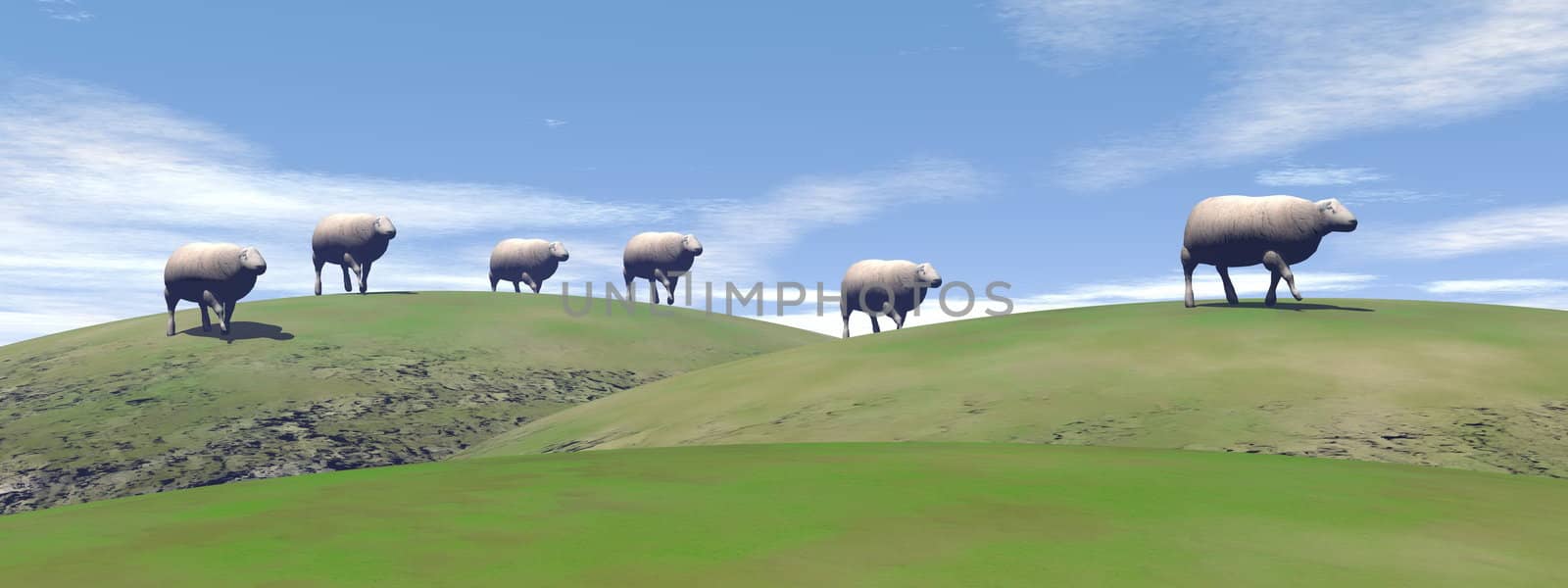 White sheeps walking upon green hills by cloudy weather