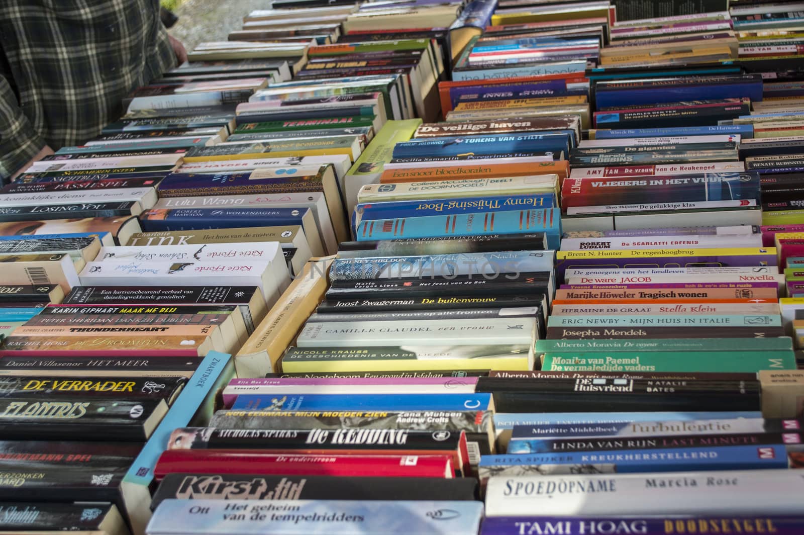 TINTE,HOLLAND - MARCH 30: many dutch books on the bookmarket in Tinte on March 30, 2013 in Tinte,Holland. This market is only once a year to introduce spring in Tinte.