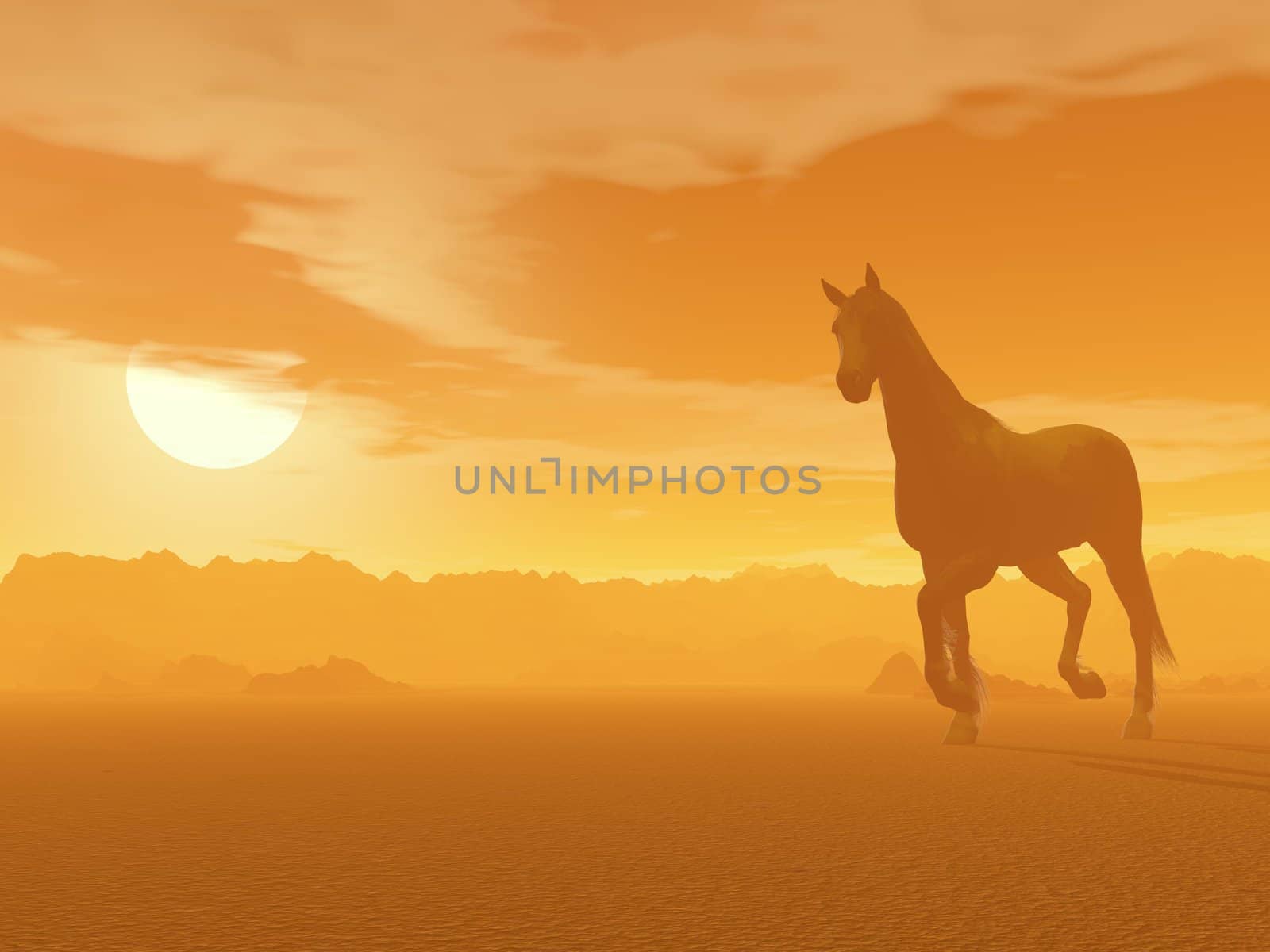 Beautiful horse trotting in the desert by foggy sunset