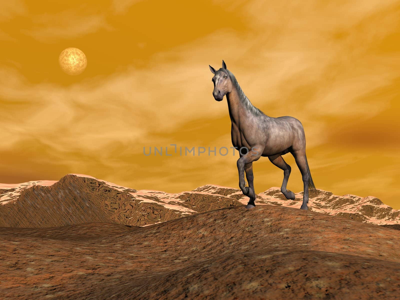 Brown horse on the mountain - 3D render by Elenaphotos21