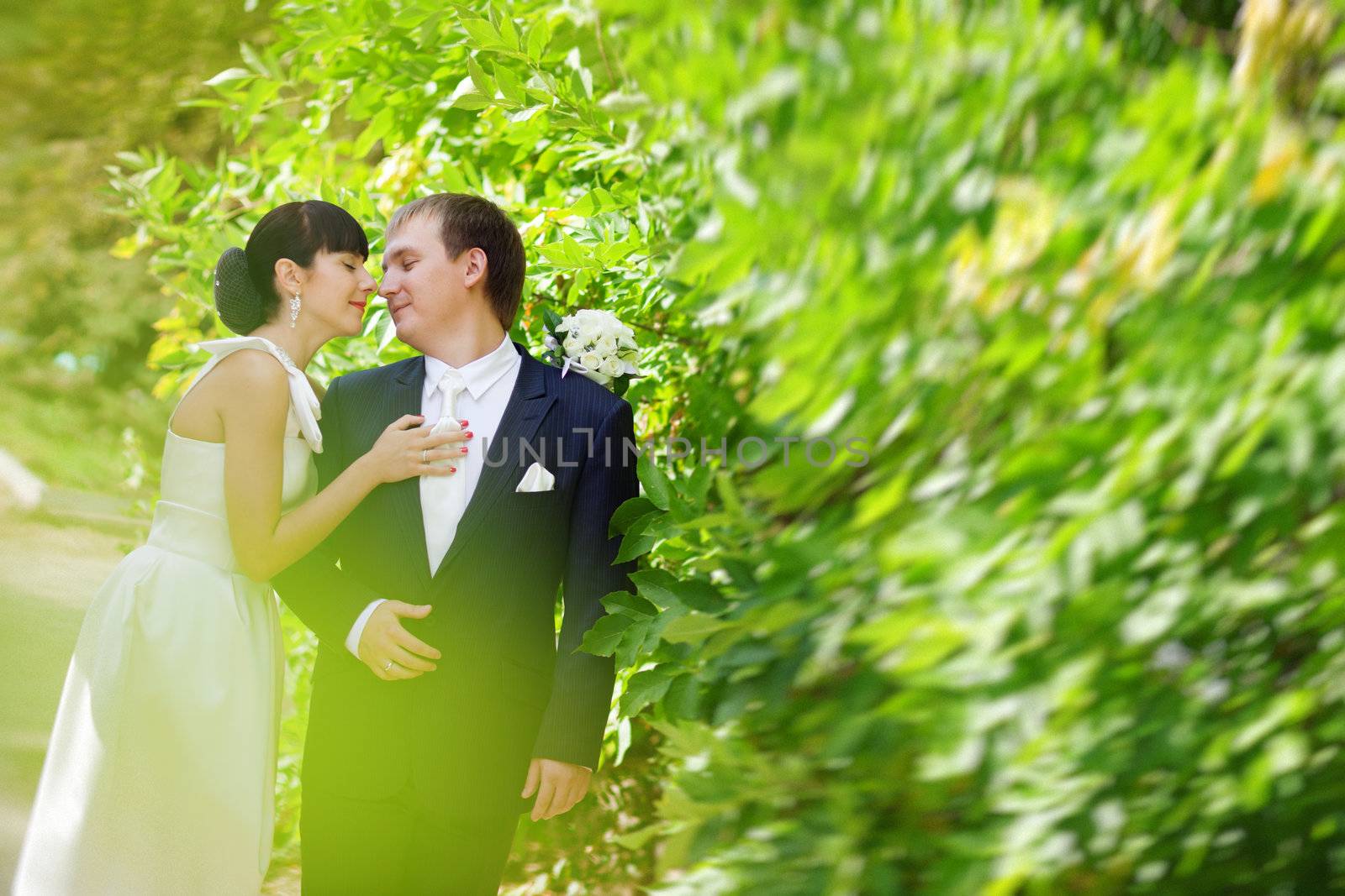 bride and groom near the bush