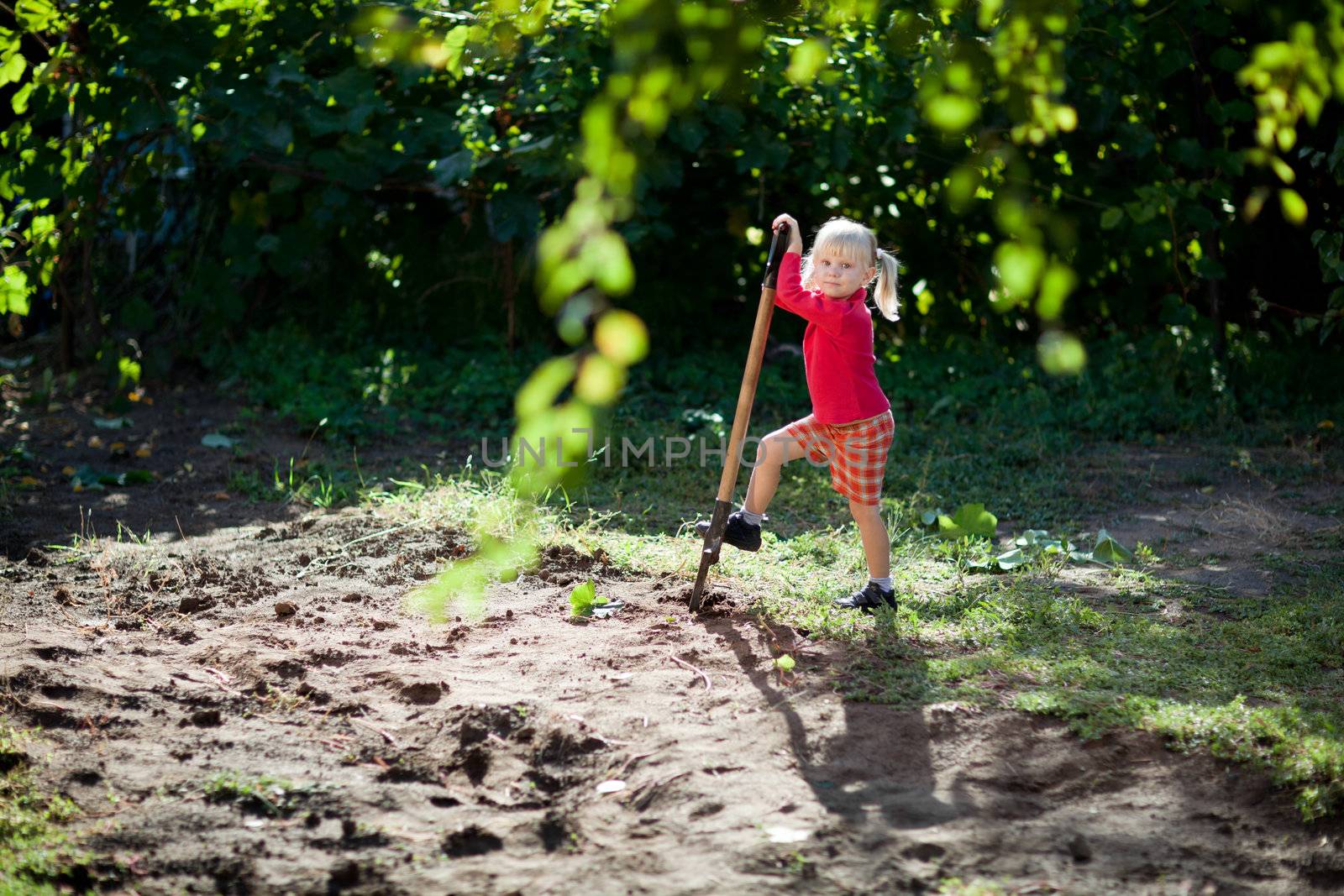 small girl helps to dig