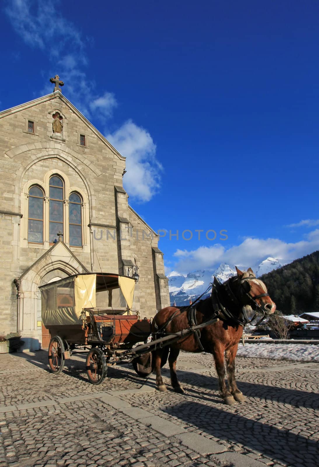 Brown horse and carriage in front of Notre-Dame de l'Assomption church by beautiful day, Grand-Bornand, France