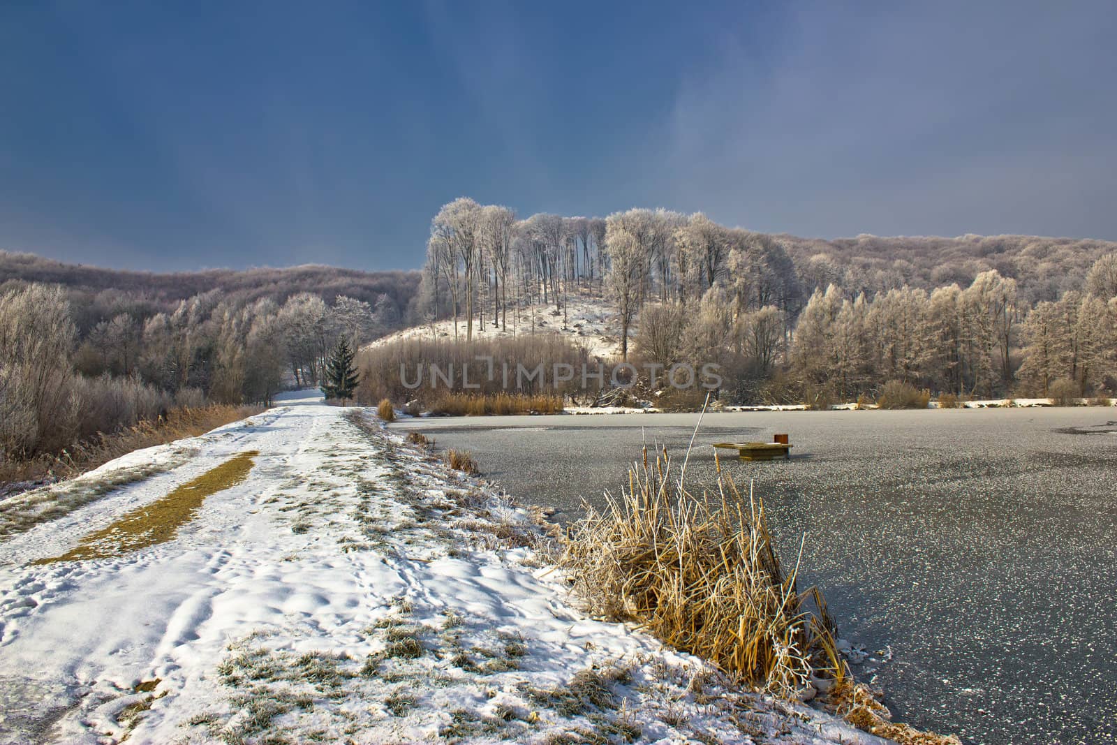 Frozen lake winter landscape in Croatia by xbrchx