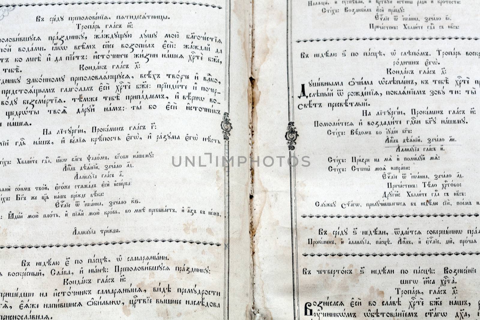 Macro close-up of a scripture in a very old Bible. by sfinks