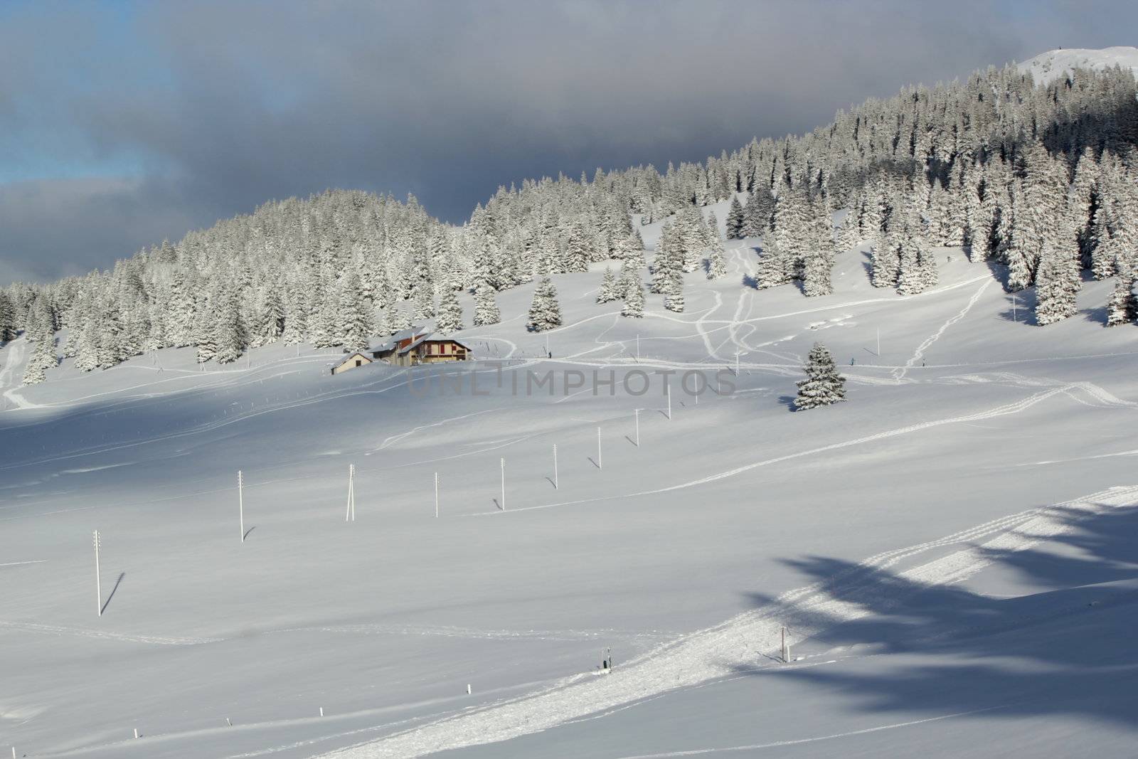 Beautiful fir trees covered with snow in front of little house in the Jura mountain by cloudy day of winter, Switzerland