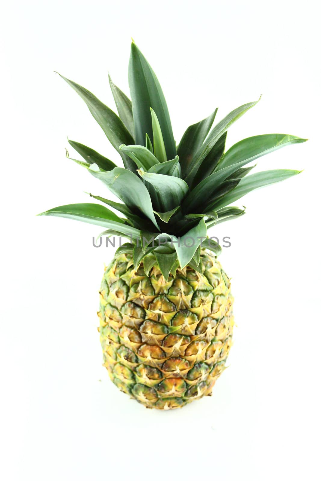 ripe pineapple isolated on white background