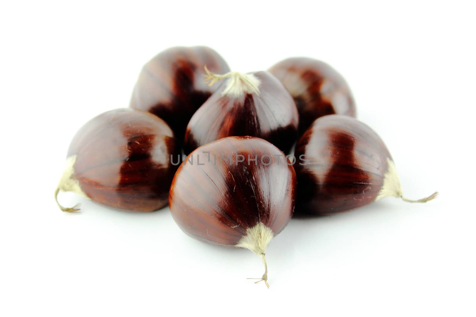 Sweet chestnuts on white background.