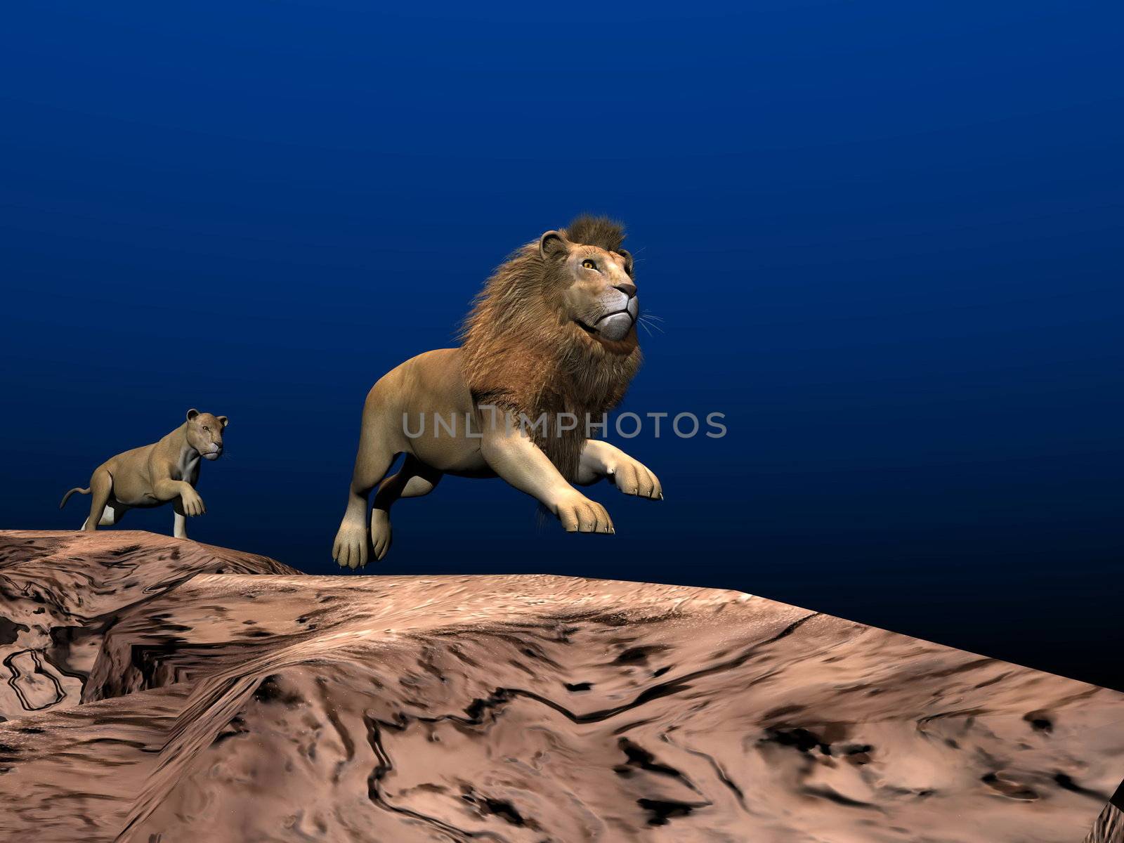 Lion and lioness running in the desert by night