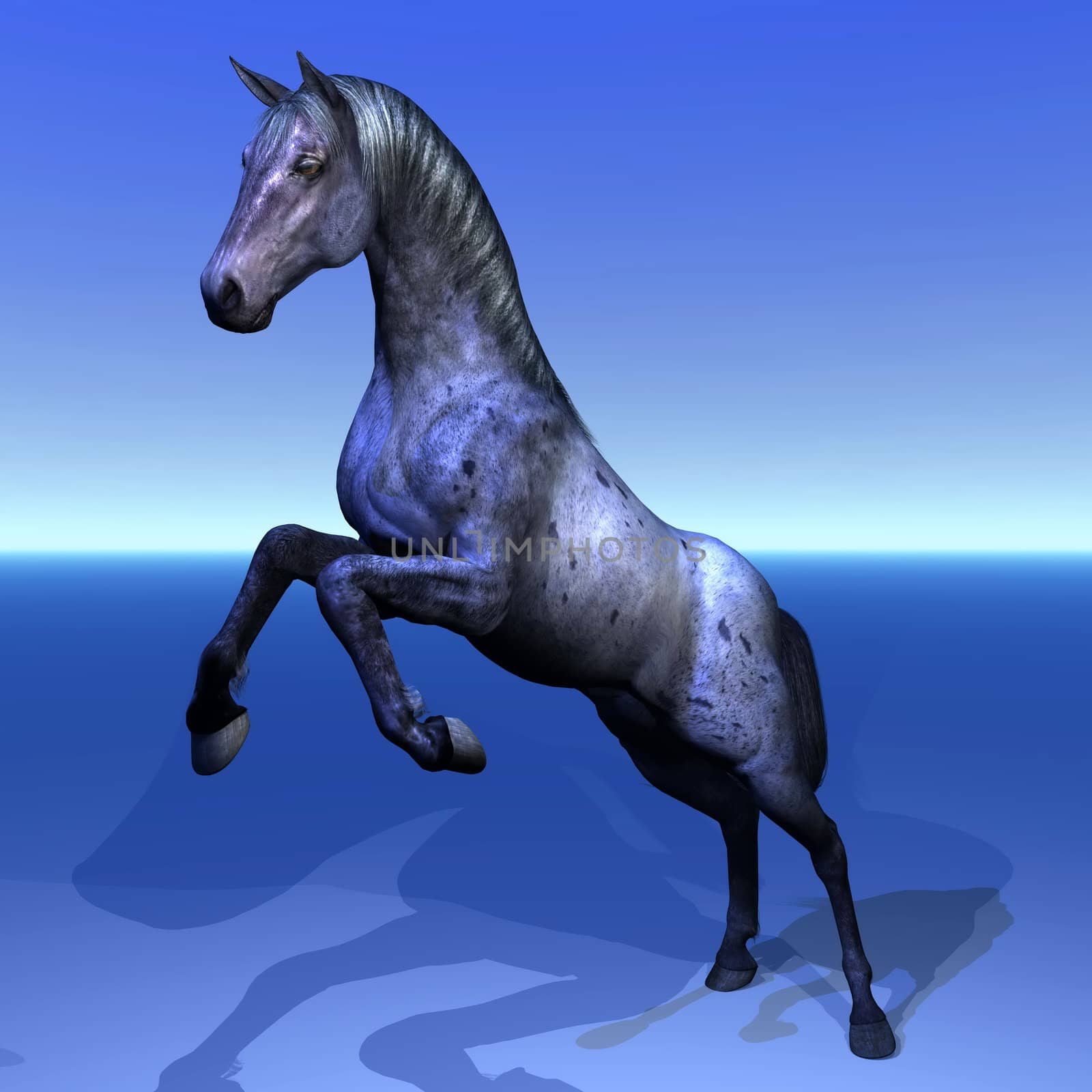 Beautiful horserearing inblue background