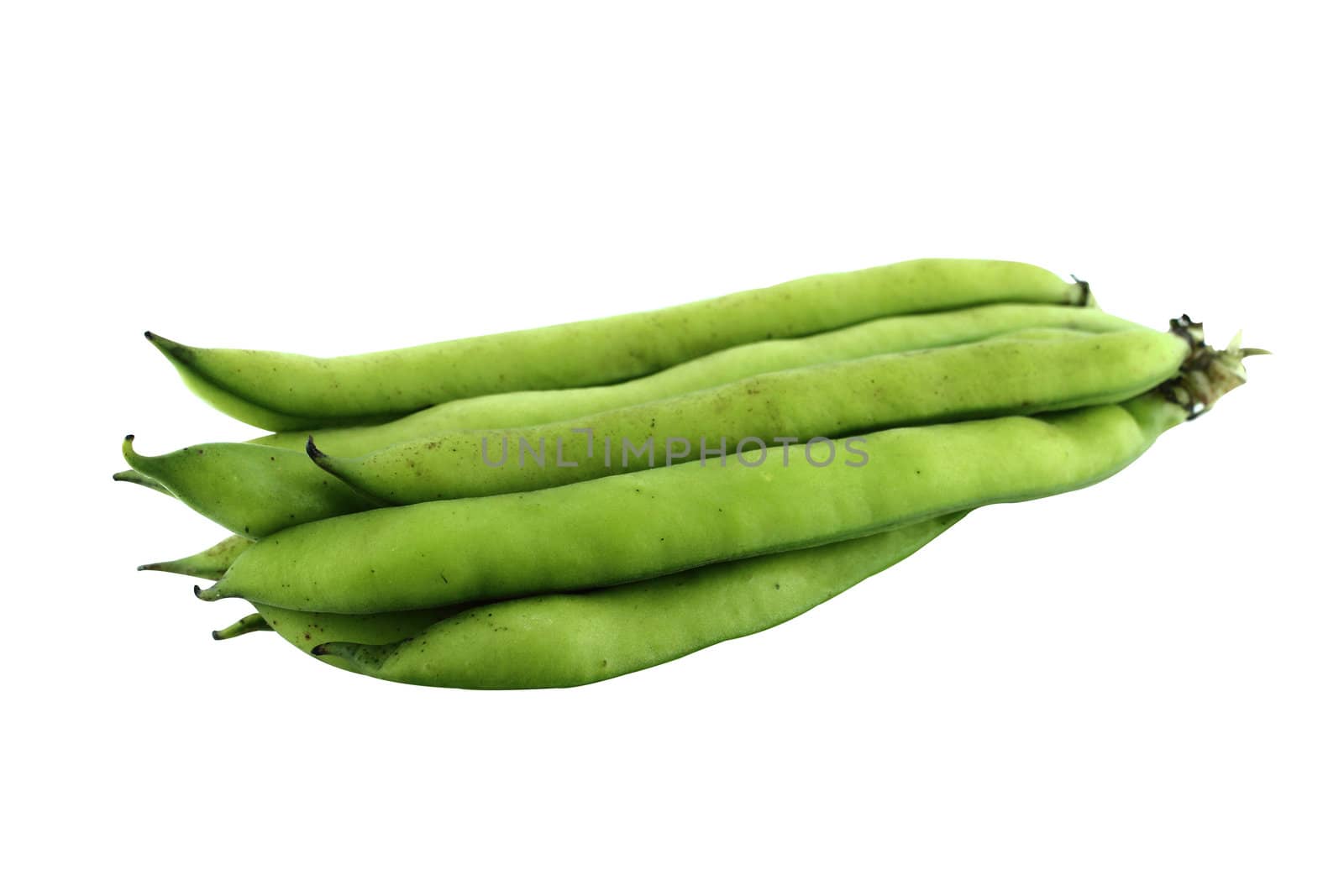 broad bean pods and beans on white background . with a clipping path