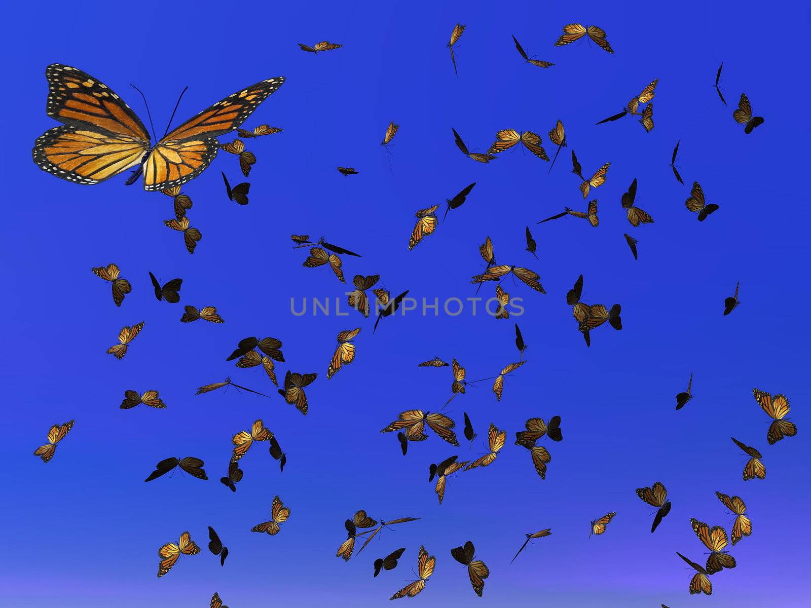 Monarch butterflies migration - 3D render by Elenaphotos21