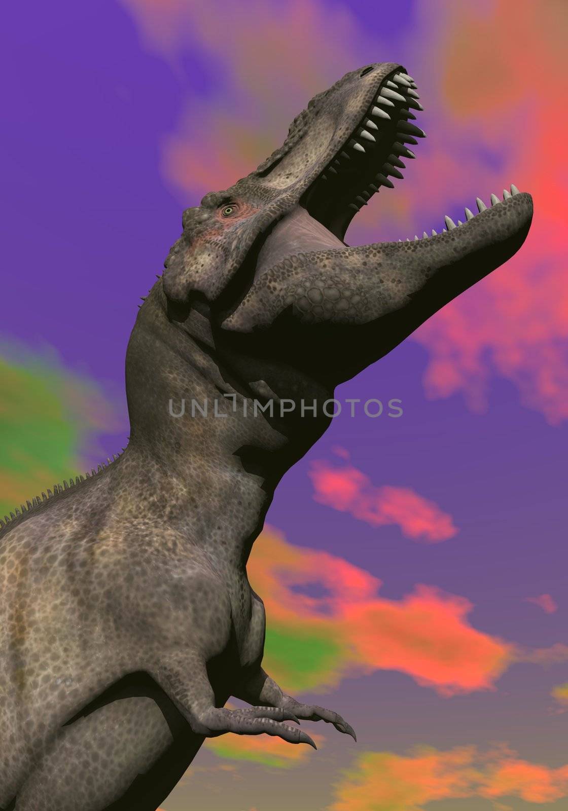 Close up of tyrannosaurus shouting in sunset cloudy background