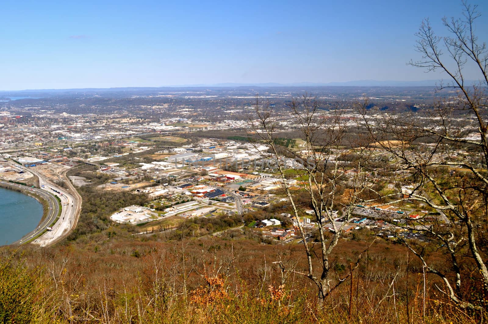 Chattanooga through the trees
