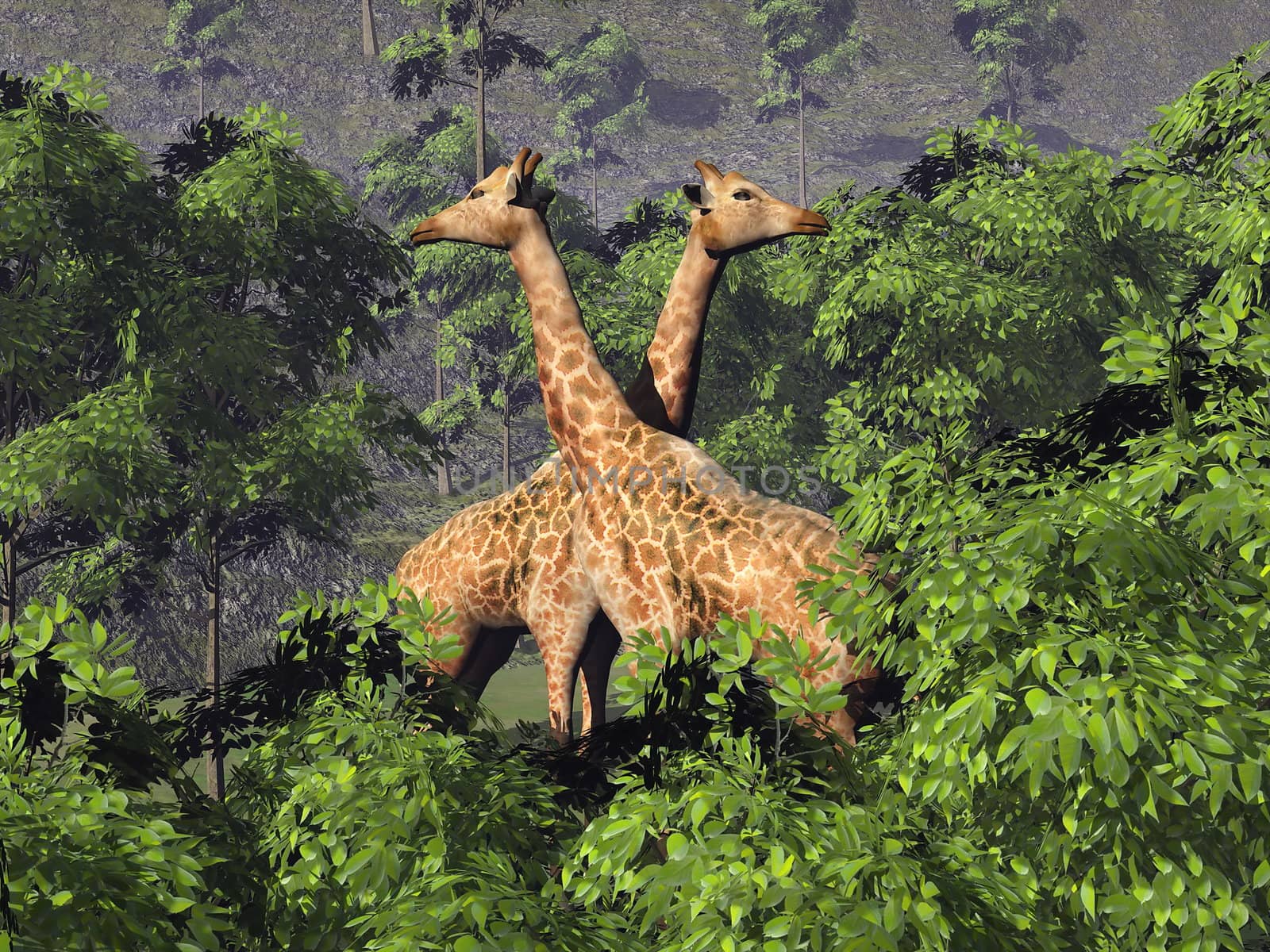 Two giraffes standing next to the other in the middle of green vegetation