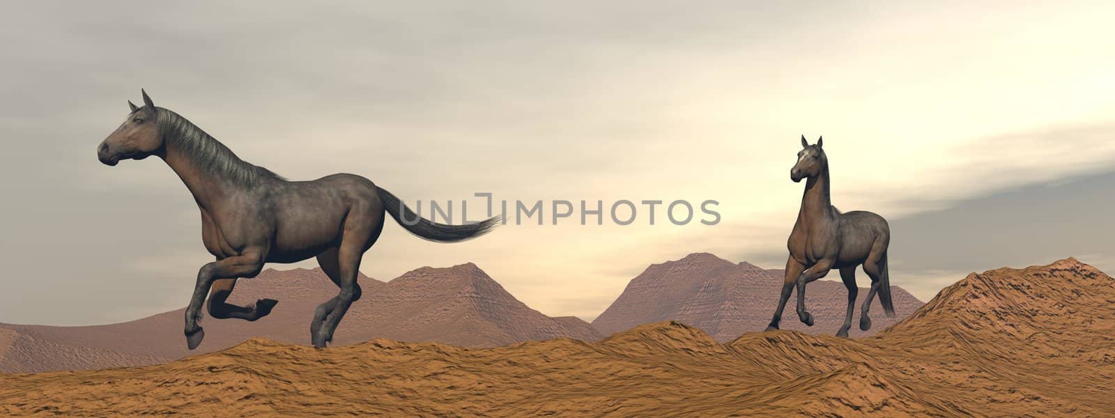 Horses galloping in the desert - 3D render by Elenaphotos21